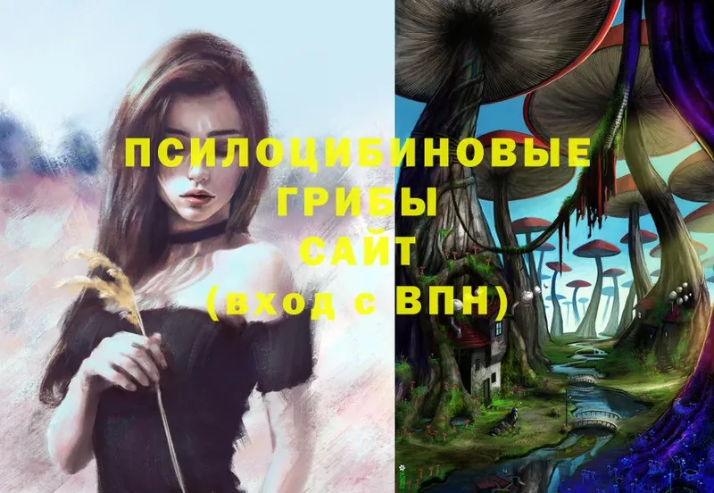 Псилоцибиновые грибы Magic Shrooms  где найти наркотики  Туймазы 